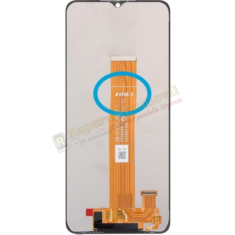 S-487 Pantalla SM-A125 Samsung Galaxy A12 CDOT S-487 Pantalla SM-A125 Samsung Galaxy A12 CDOT