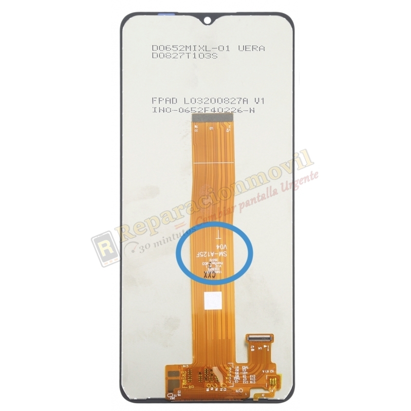 S-012 SM-A326B/A326U/ A125/M127 Pantalla Samsung A32 5G A12 M12 2021 TIANMA (T) S-012 SM-A326B/A326U/ A125/M127 Pantalla Samsung A32 5G A12 M12 2021 TIANMA (T)