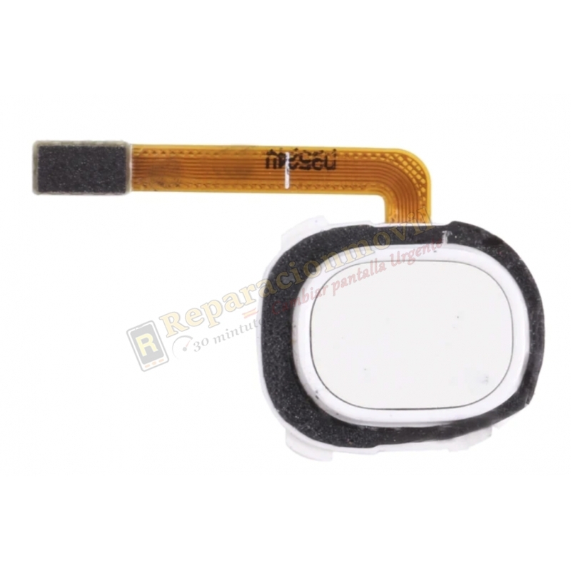 Lector De Huellas Para Samsung Galaxy A20 / A205 / A20E / A202 / A30 / A305 / A40 / A405 BLANCO Lector De Huellas Para Samsung Galaxy A20 / A205 / A20E / A202 / A30 / A305 / A40 / A405 BLANCO