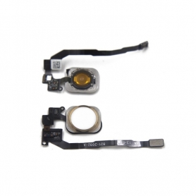 Flex De Boton Home Para IPHONE 5S /5 SE