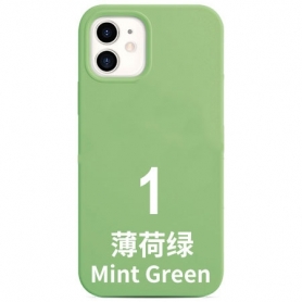 4N001 Funda Mint Green...