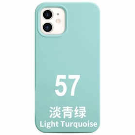 11N057 Funda Light Turquoise iPhone 12 Pro Max